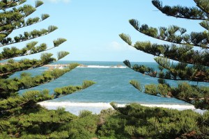 See destinations covered in SA