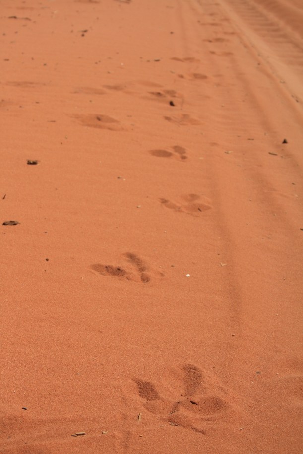 Francois Peron National Park