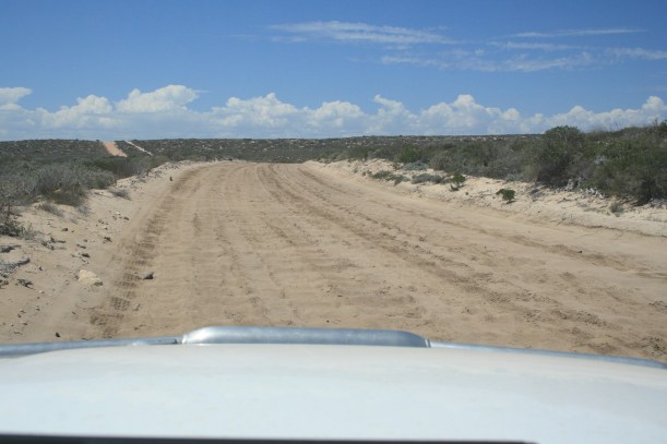 driving to Steep Point