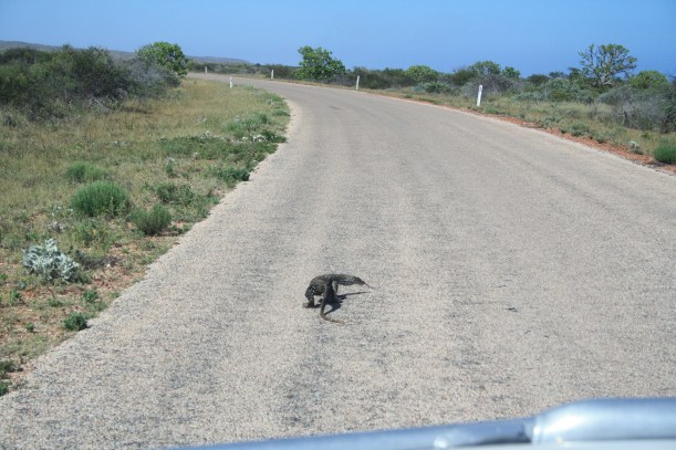 Cape Range National Park