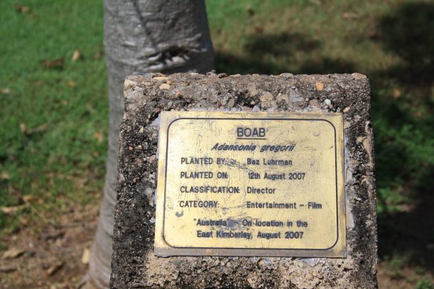 celebrity tree park Kununurra