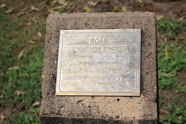 celebrity tree park Kununurra