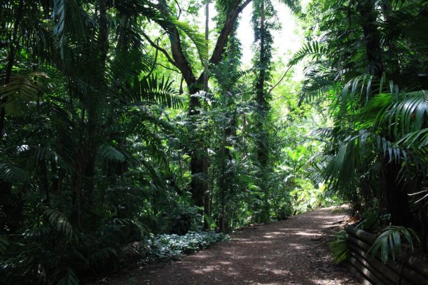 Darwin botanic garden