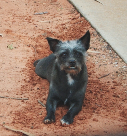 a face only a mother could love