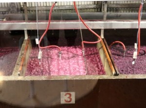 Red wine fermenting