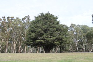 Fort O’Hare campground
