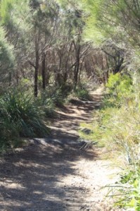Arakoon National Park