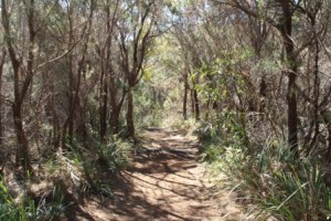 Arakoon National Park