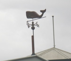 whale weather vane