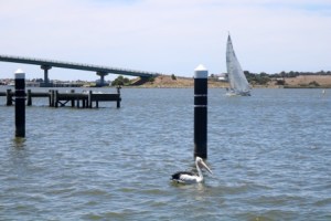 Goolwa SA