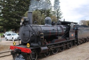 Cockle train