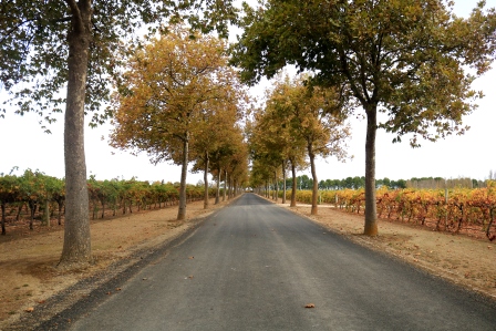 Rymill Coonawarra