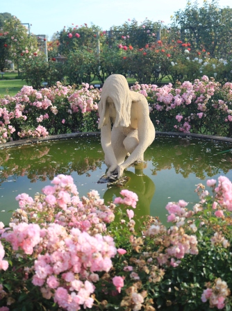 Balnaves of Coonawarra