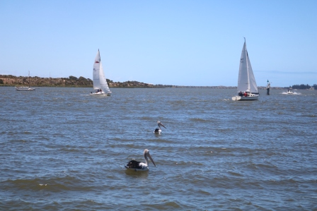 Murray River Goolwa