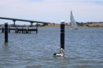 Murray River Goolwa