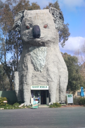 Giant Koala Dadswell Bridge