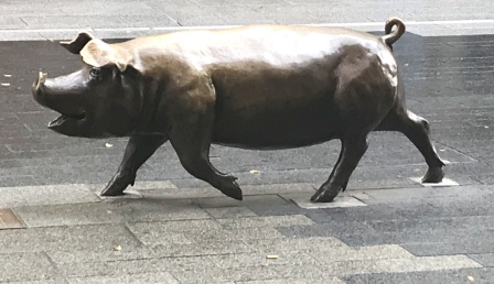 Rundle Mall pigs