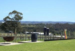 Art wine Adelaide Hills