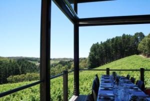 Mt Lofty vineyard winery