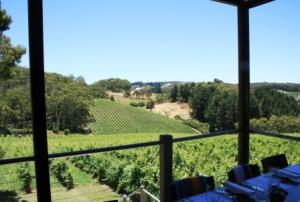 Mt Lofty vineyard winery