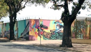 Street art Adelaide