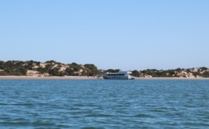 Spirit of the Coorong