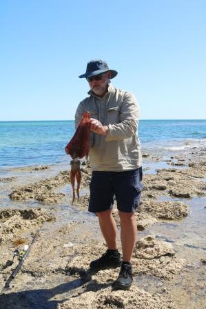 Barkers Rocks Bush Camp – Caravan Correspondent