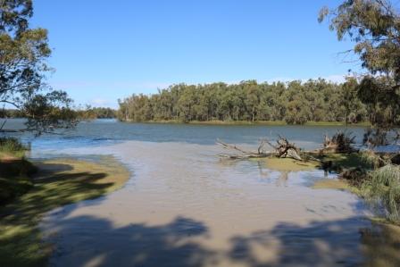 Wentworth where Australia’s Biggest Rivers Meet – Caravan Correspondent